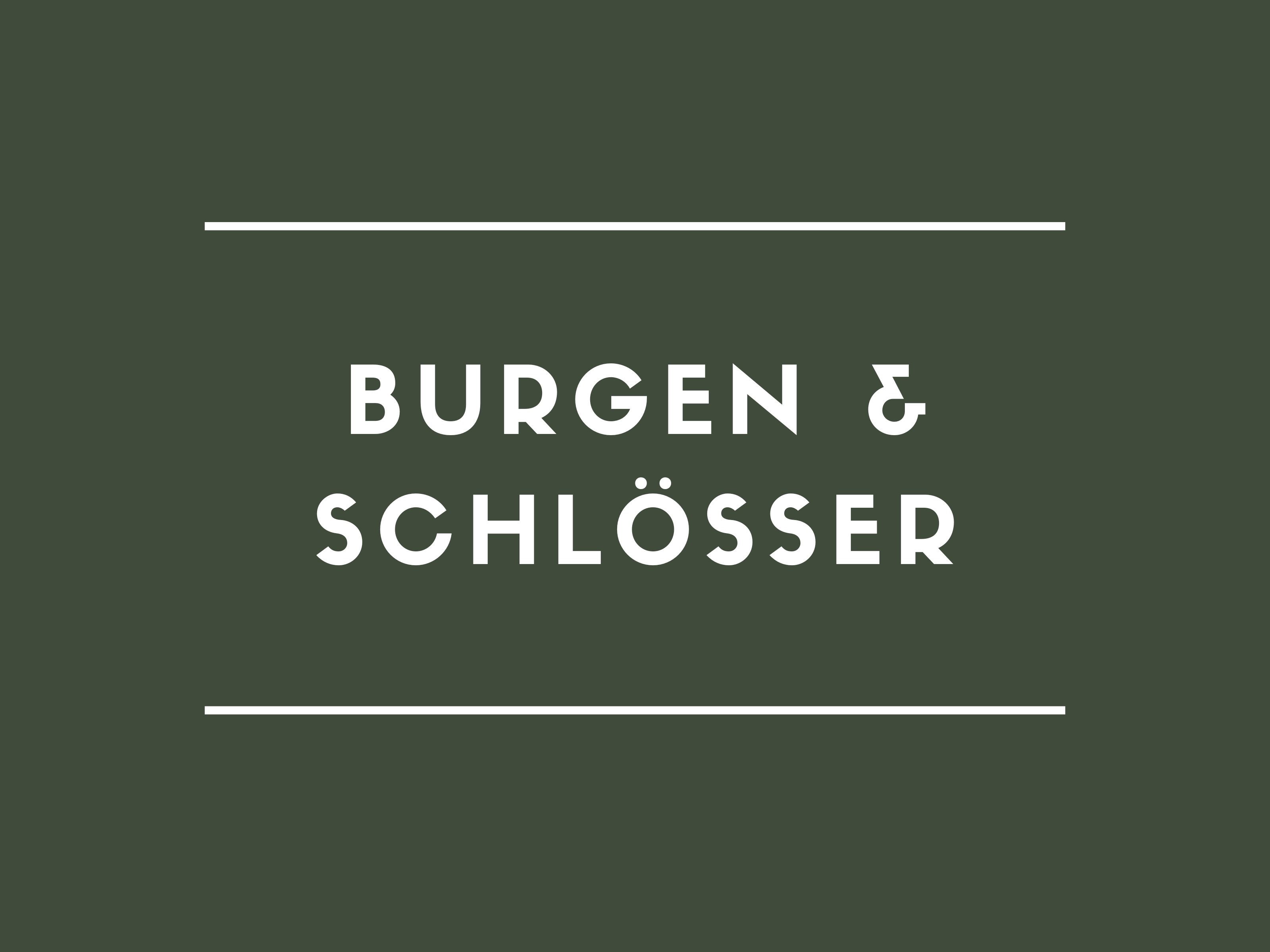 Burgen und Schlösser rheintalgoesout