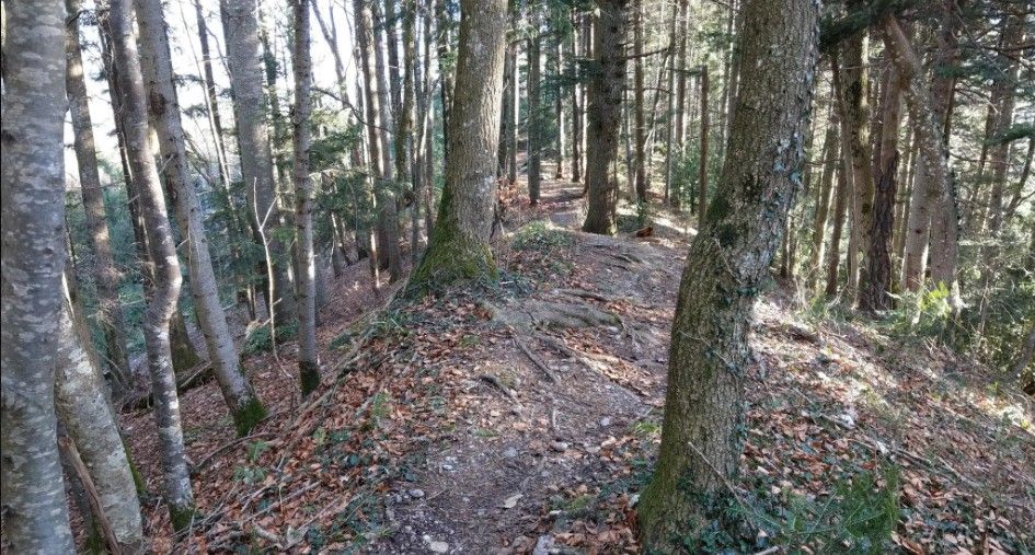 Fahrradrouten Rheintal rheintalgoesout