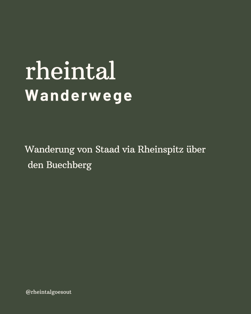 Wanderung_Rheinspitz_Buechberg_rheintalgoesout