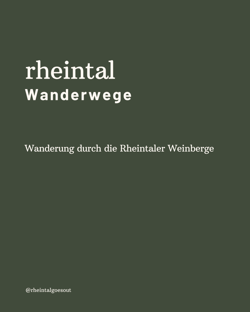 Wanderung_Weinberge_rheintalgoesout