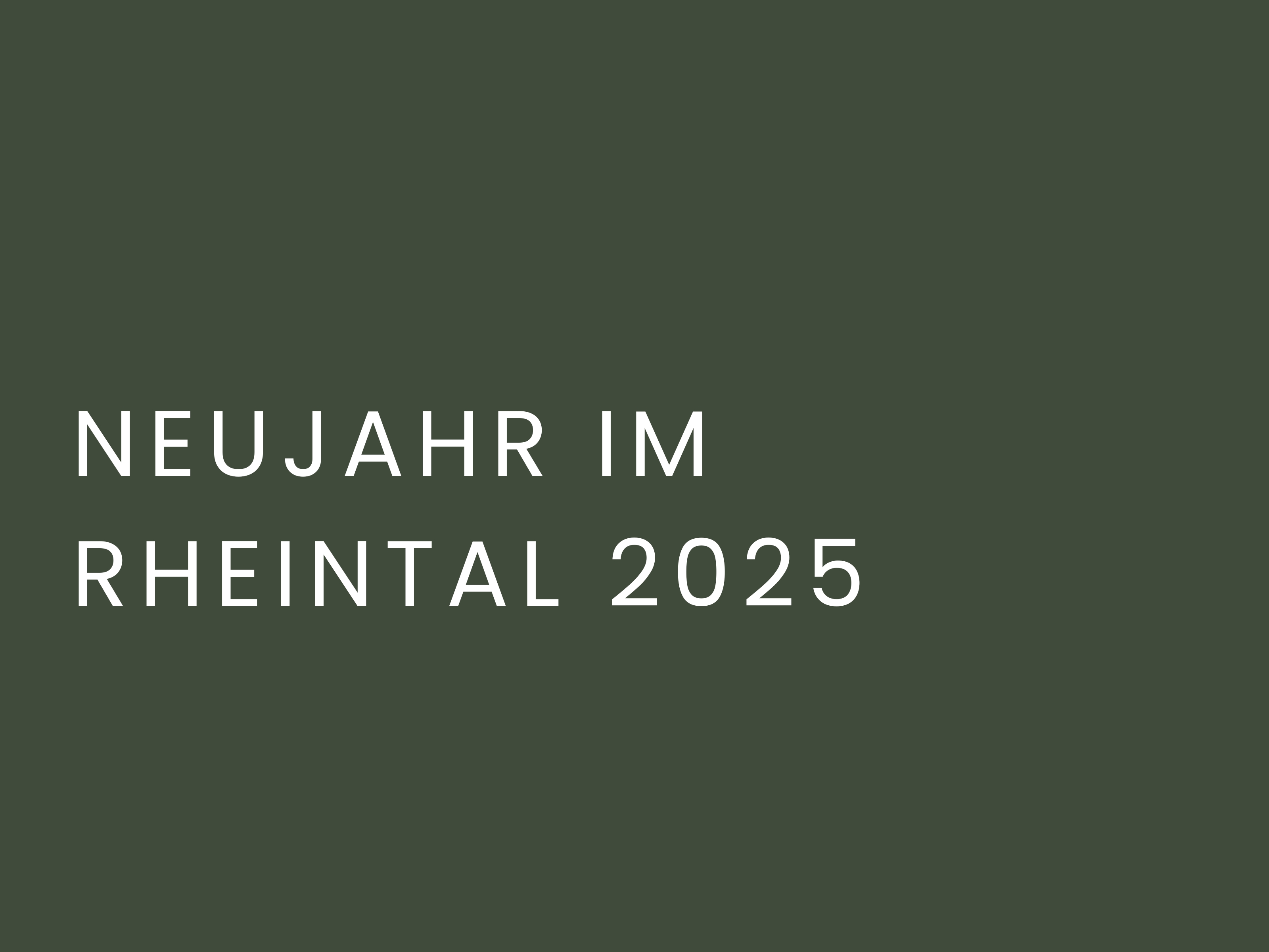Neujahr im Rheintal 2025